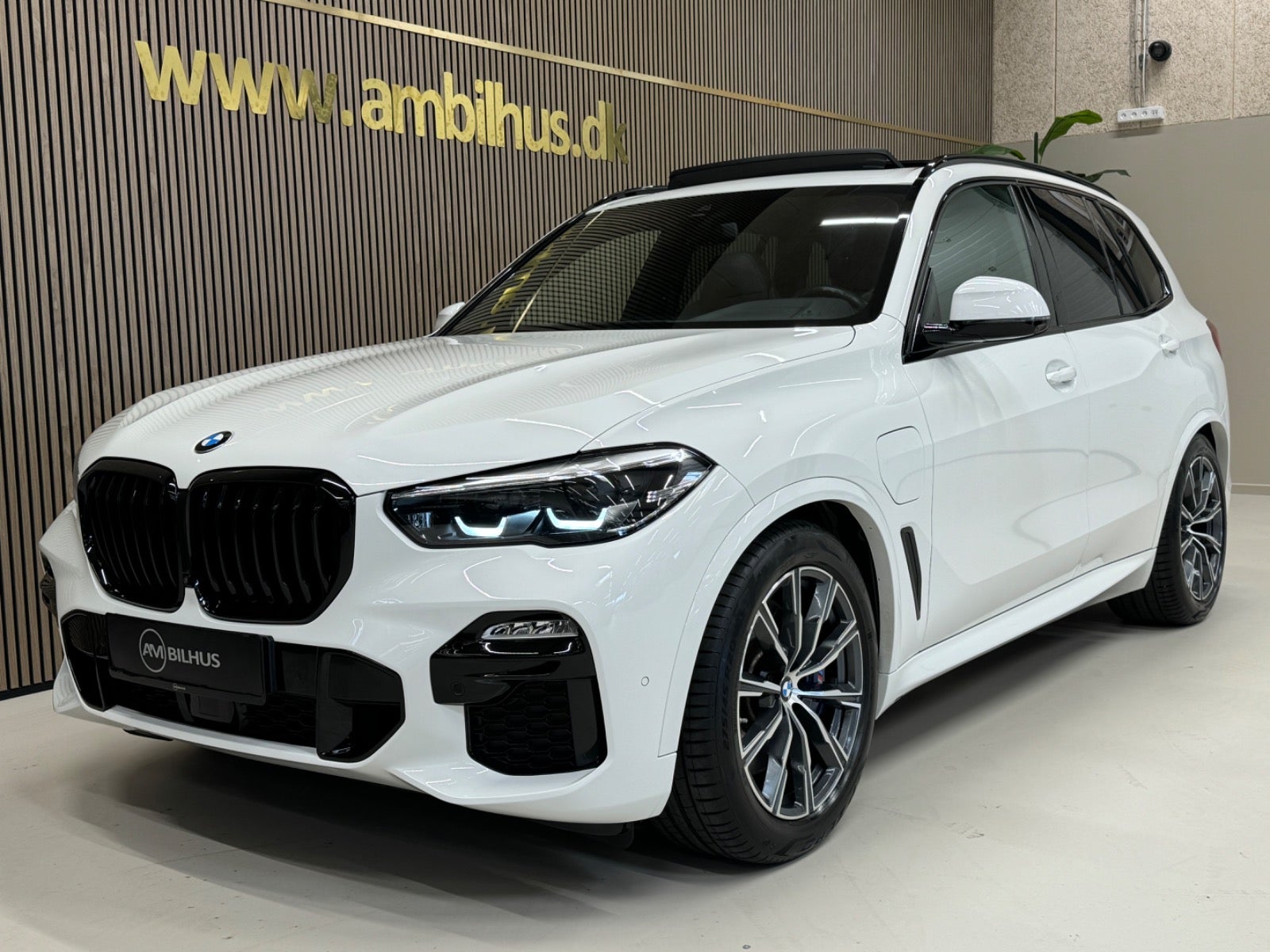 flexleasing-bmw-x5-30-xdrive45e-m-sport-aut-5d-findleasing