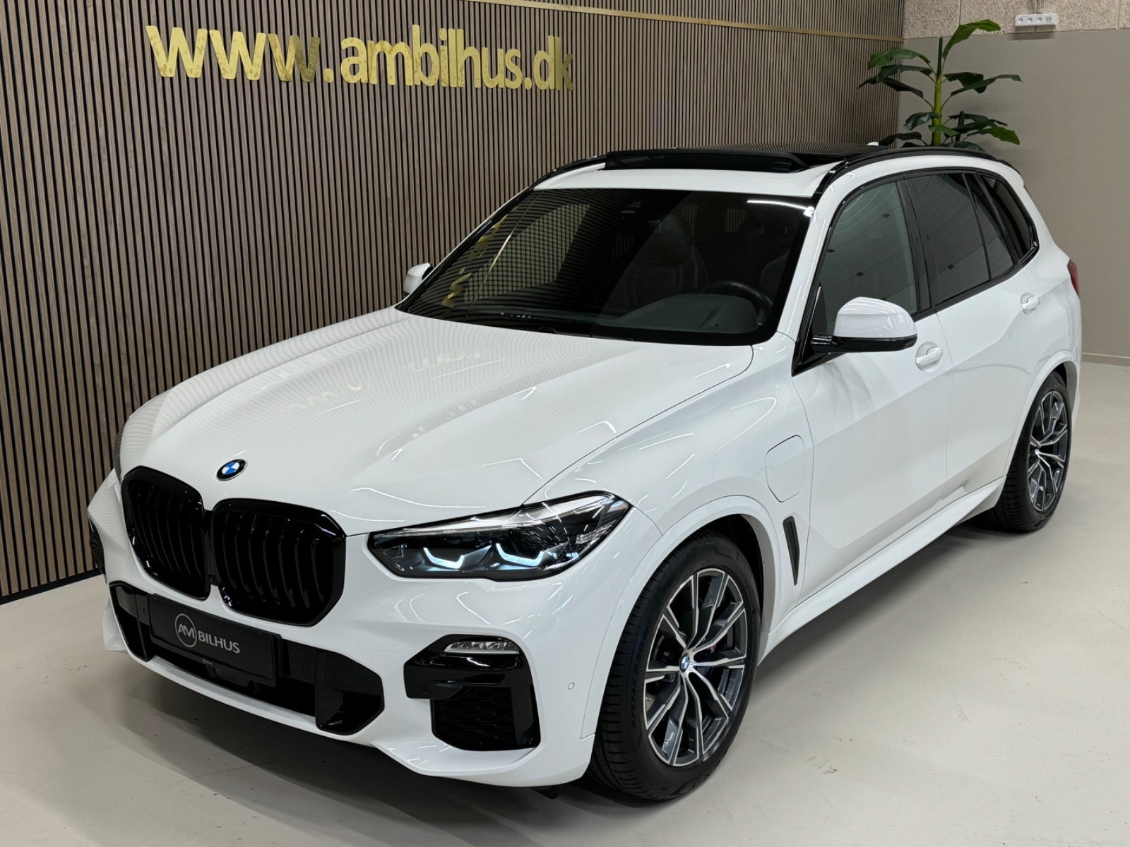 flexleasing-bmw-x5-30-xdrive45e-m-sport-aut-5d-findleasing