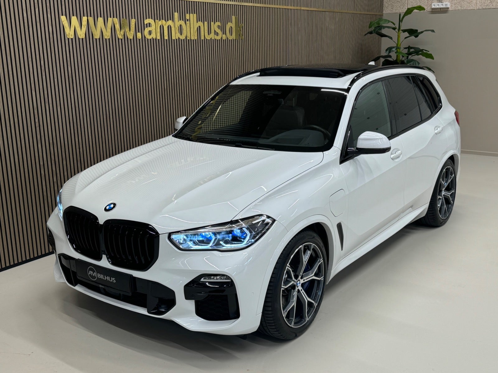 flexleasing-bmw-x5-30-xdrive45e-m-sport-aut-5d-findleasing