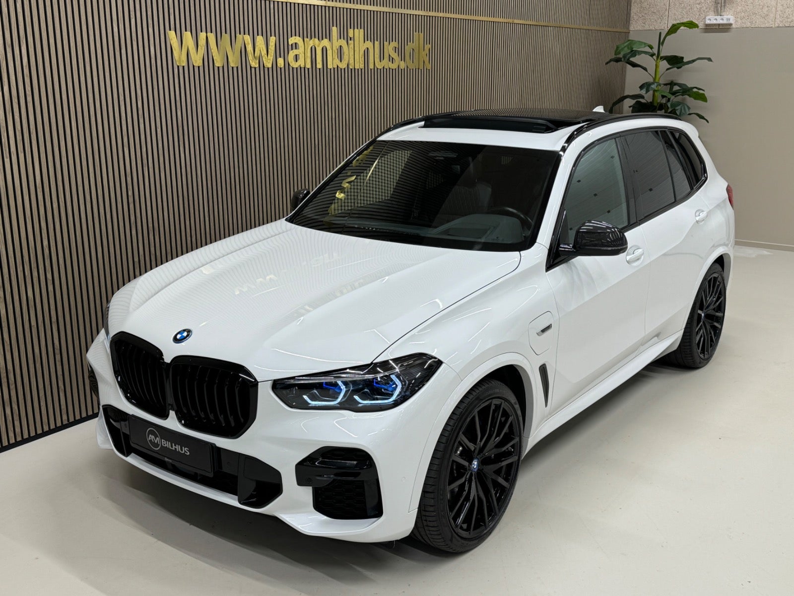 flexleasing-bmw-x5-30-xdrive45e-m-sport-aut-5d-findleasing