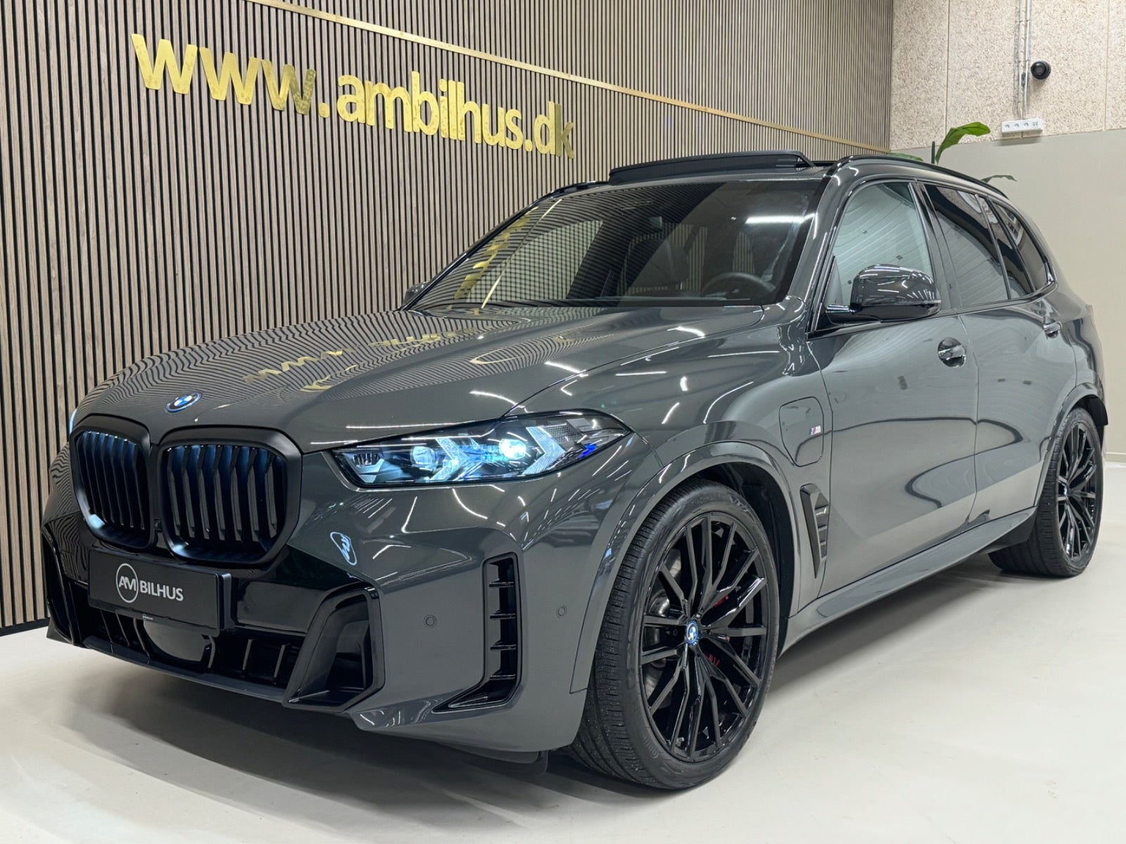 flexleasing-bmw-x5-30-xdrive50e-m-sport-aut-5d-findleasing