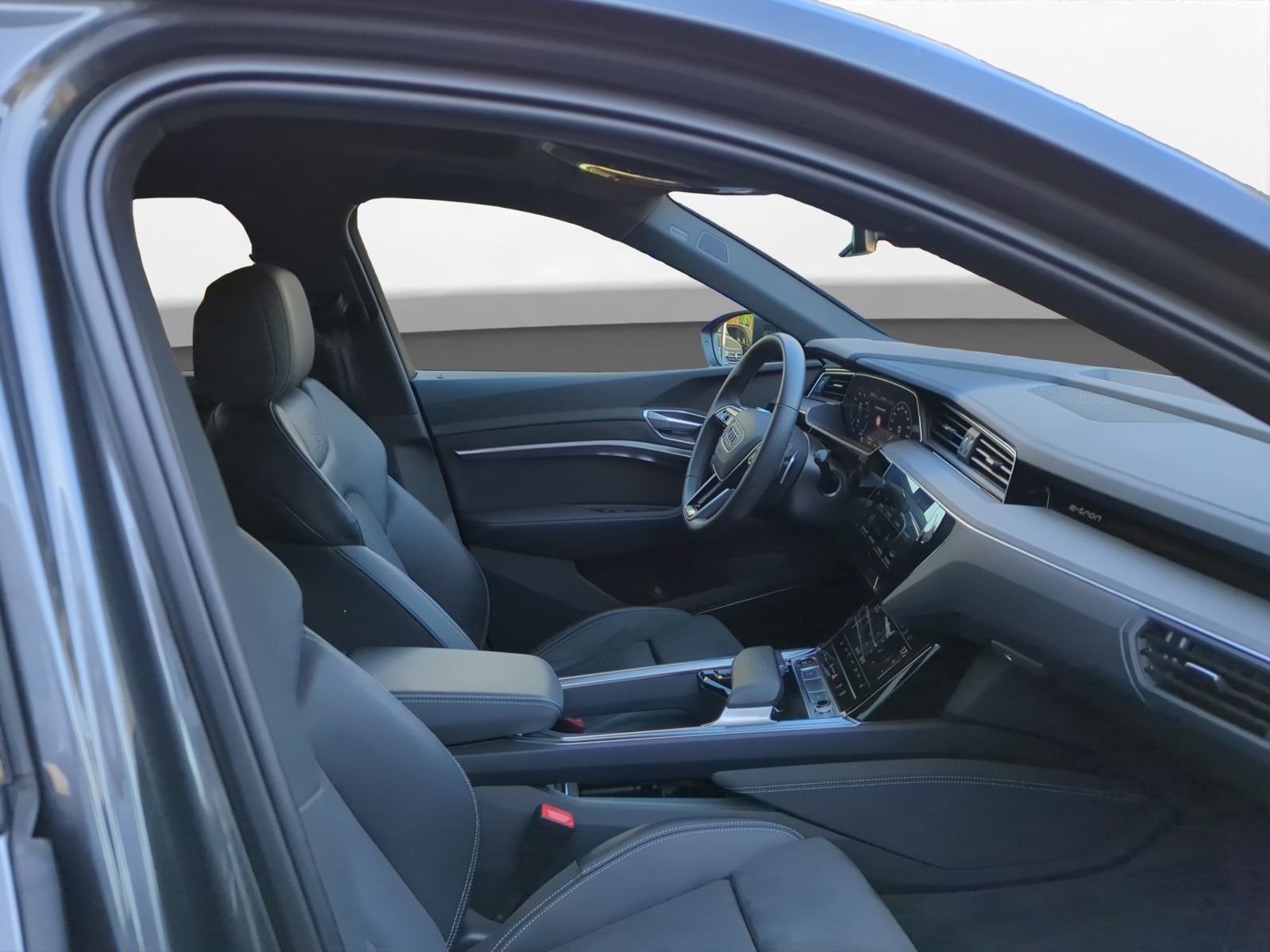Audi e-tron S quattro Pano *Luft*