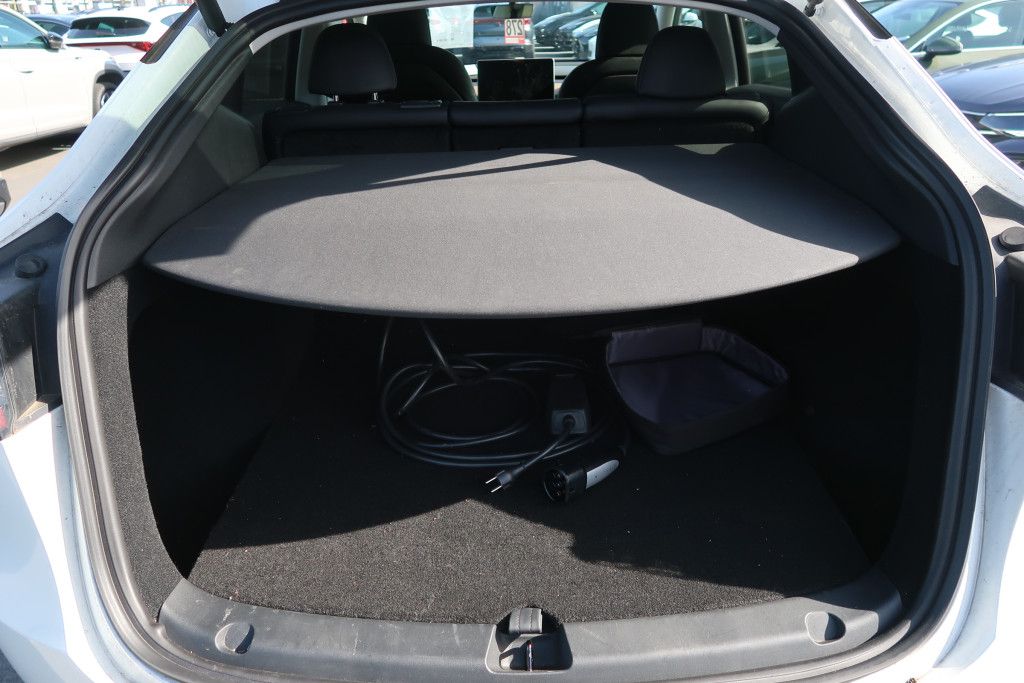 Tesla Model Y Performance Dual Motor AWD*Pano*21