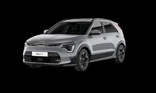 Kia Niro EV  EL Access Plus 204HK 5d Aut. 5d